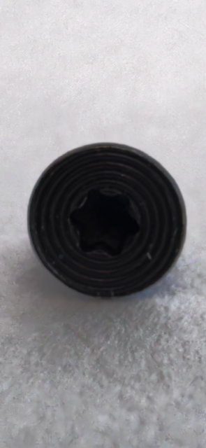 Echo Charlie Replacement Torx Head Screw Set